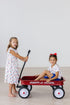 summer-sweets-flutter-sleeve-twirl-dress Mila &  Rose - Sophia's Style--12-24M--2